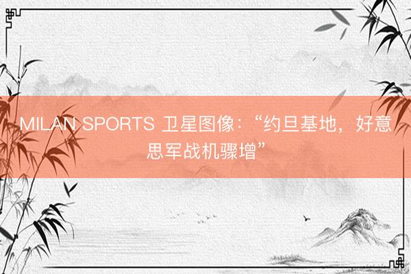 MILAN SPORTS 卫星图像：“约旦基地，好意思军战机骤增”